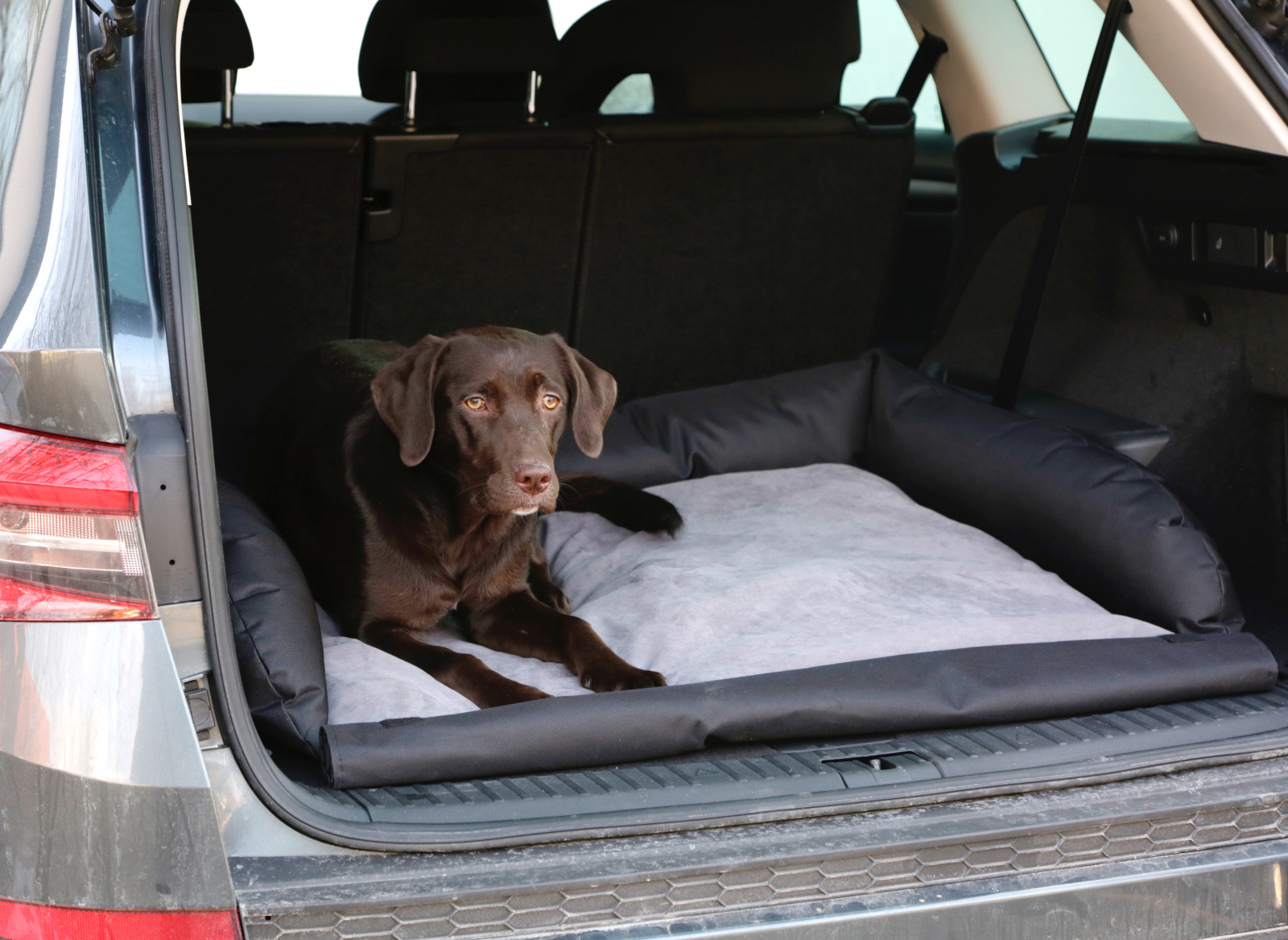 Kerbl Pet Boot Cushion Copribaule Cane Auto Lavabile