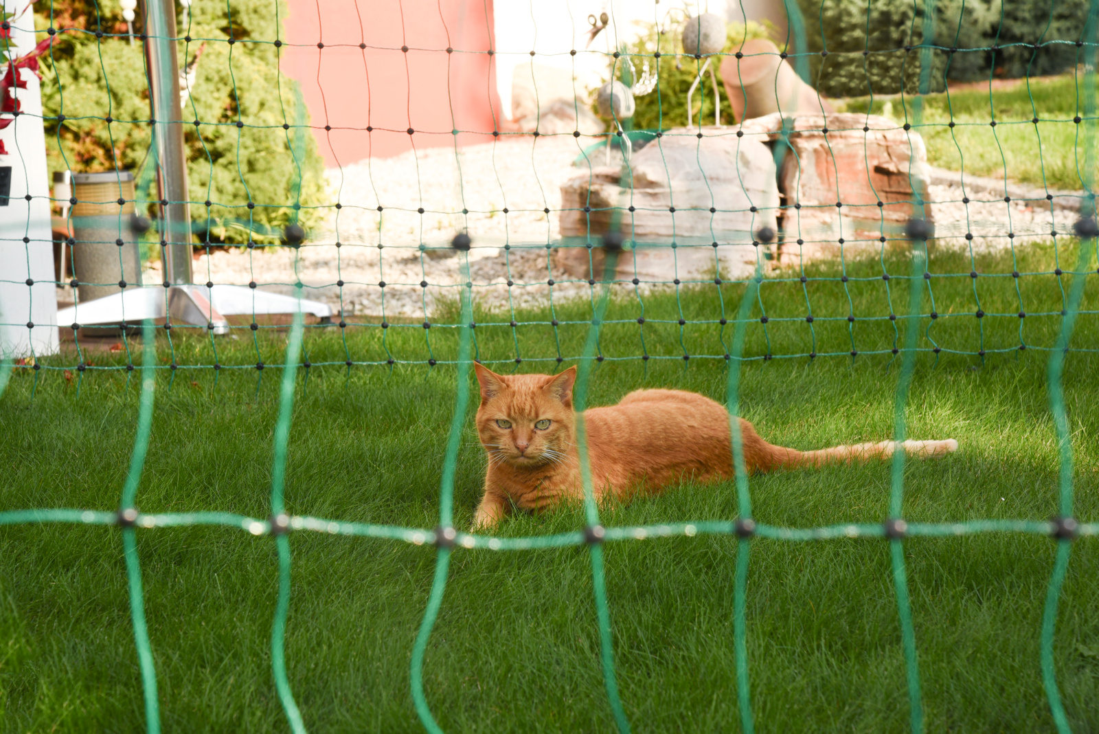 Kerbl Pet Cat Netting rete protezione gatto maglia stretta