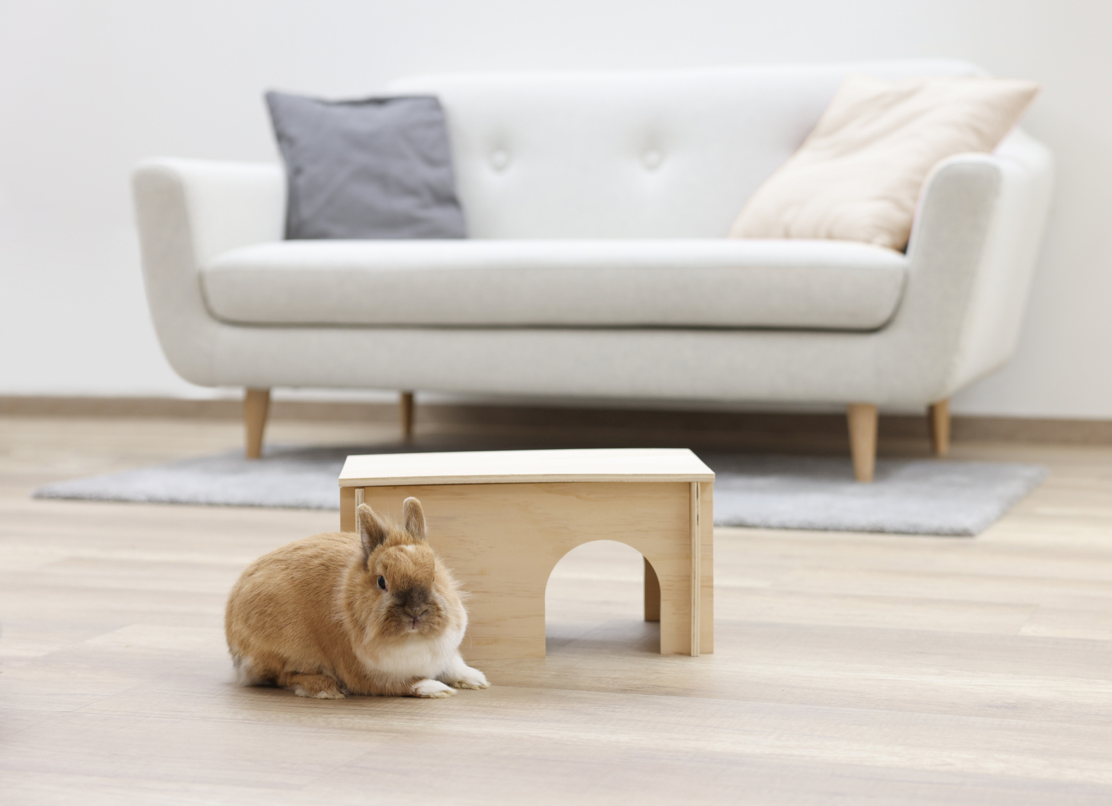 Kerbl Pet Rodent Cabin Natural casetta roditori legno