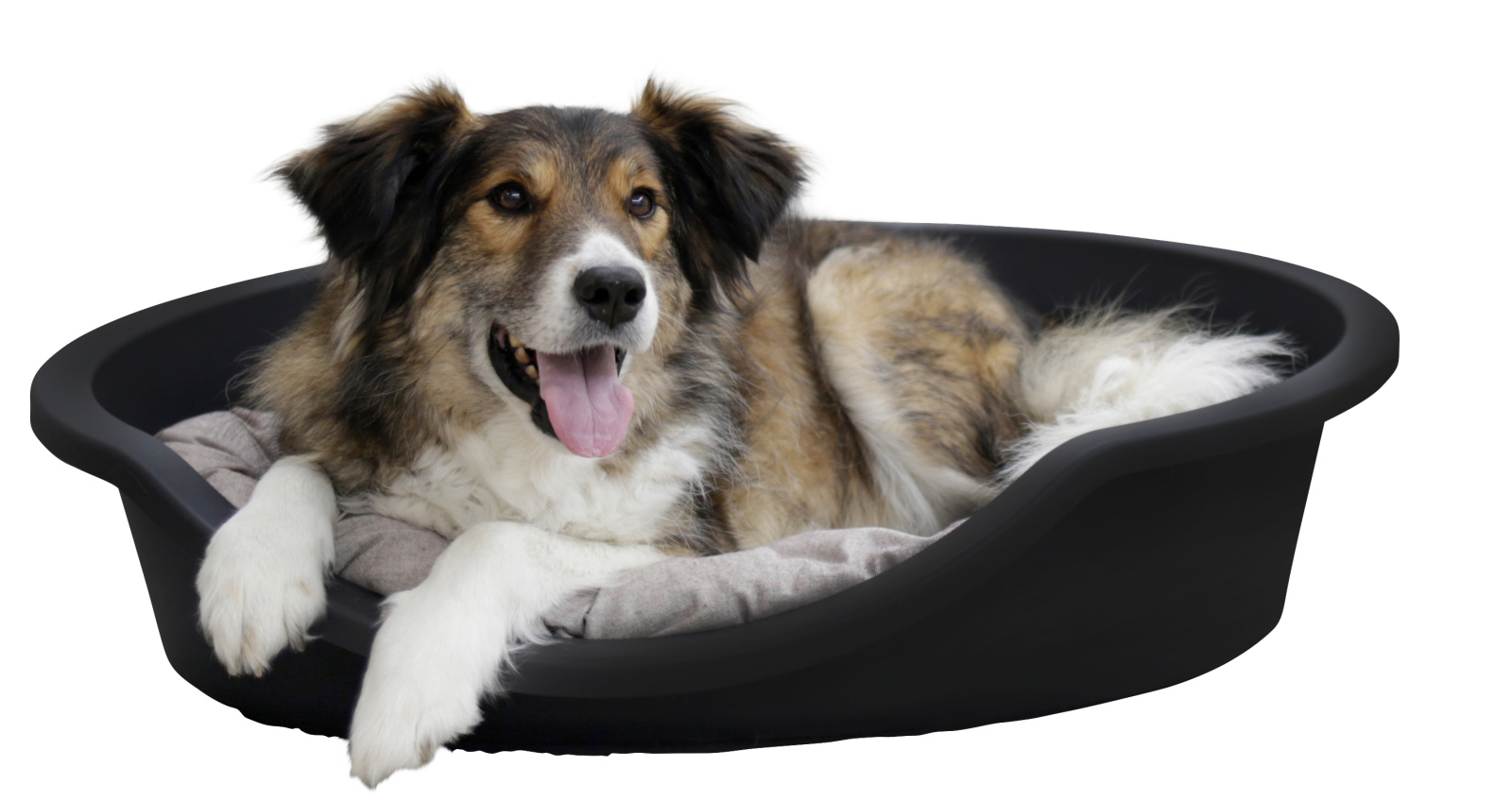 Kerbl Pet Dreamer Cuccia Plastica Cane Gatto Ventilata
