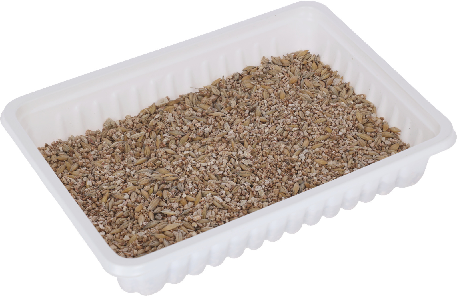 Kerbl Pet Cat Grass Erba Gatta Fresca Snack Gatti Da Coltivare