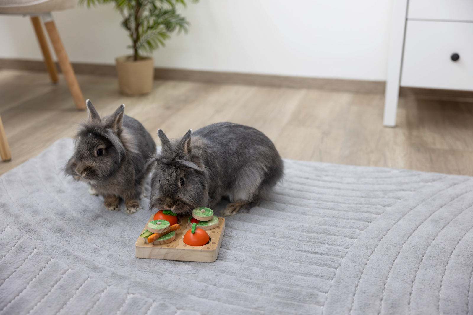 Kerbl Pet Veggie gioco intelligenza coniglio 2 livelli