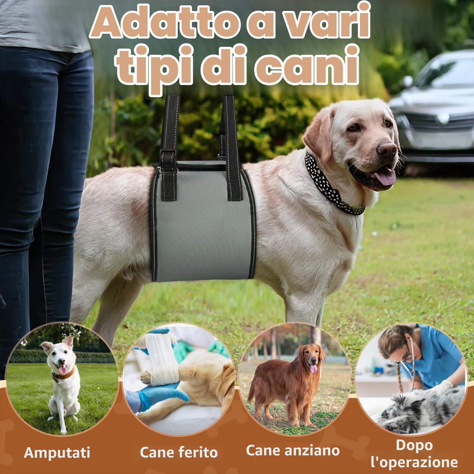 OHCOZZY Pettorine pettorina supporto posteriore cane S grigio