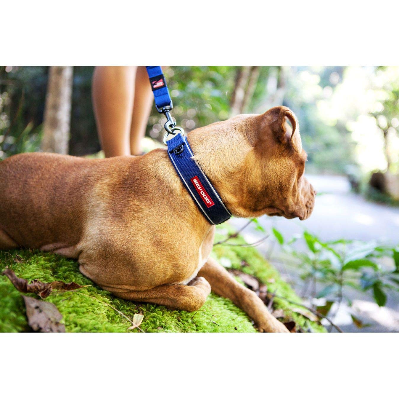 EzyDog Dog Collars Neo Classic collare cane impermeabile