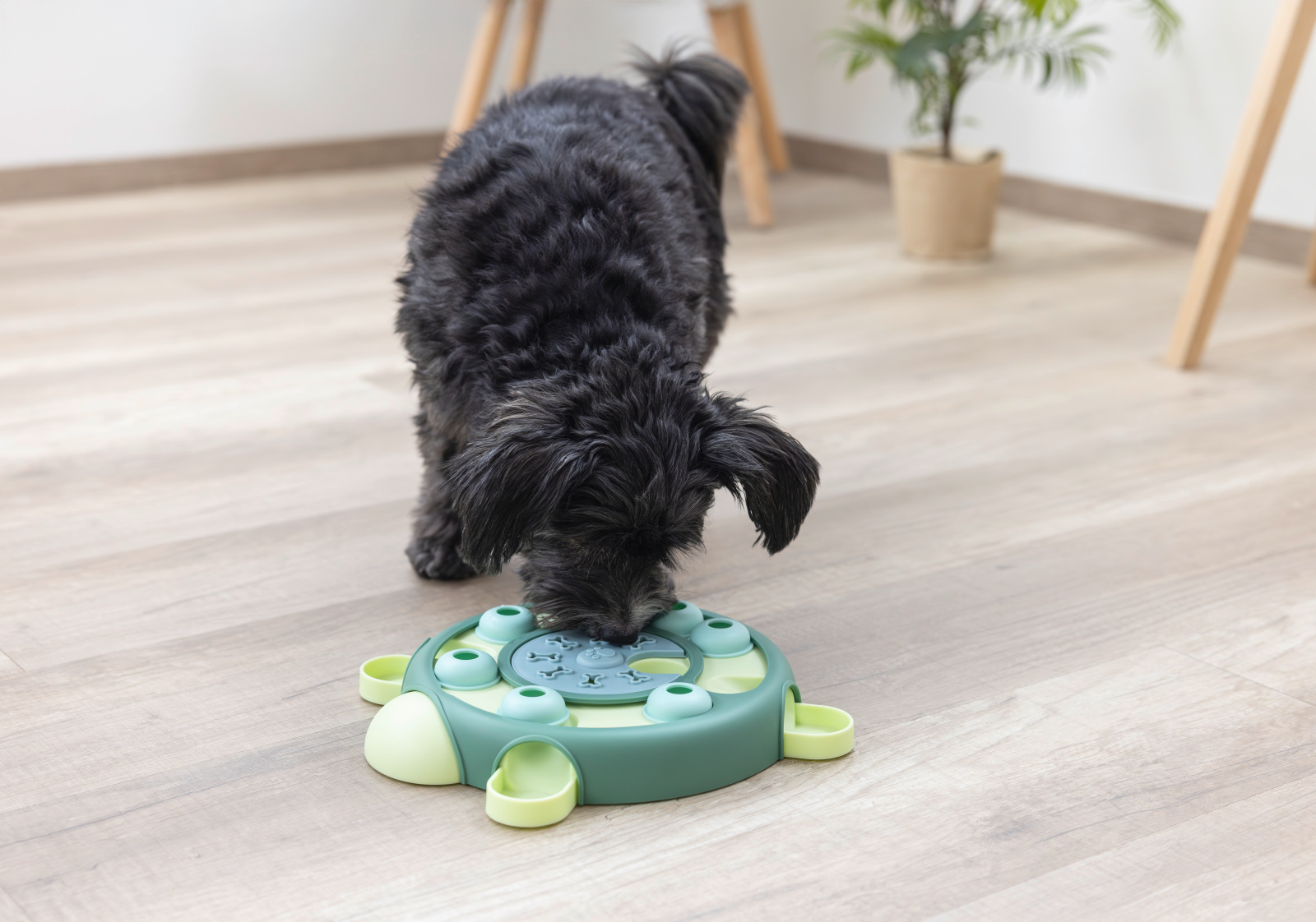 Kerbl Tartaruga Gioco Intelligenza Cane Snack Rotante