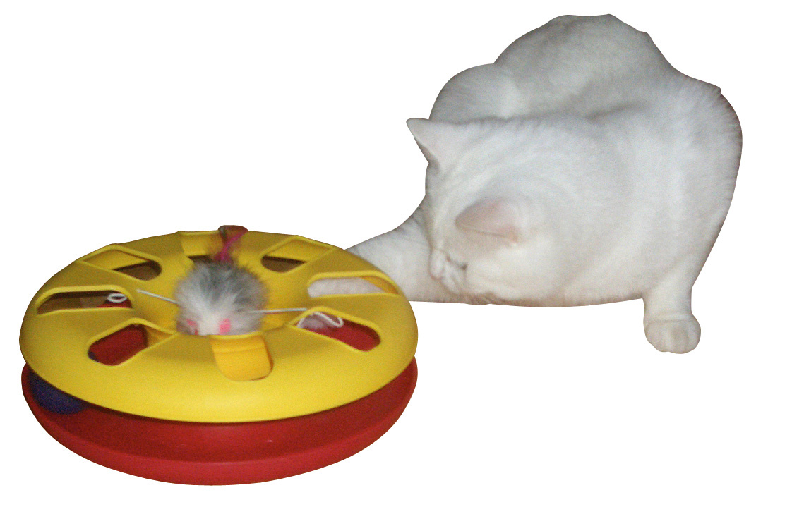 Kerbl Pet Racing Wheel pista gioco gatto con pallina e topo