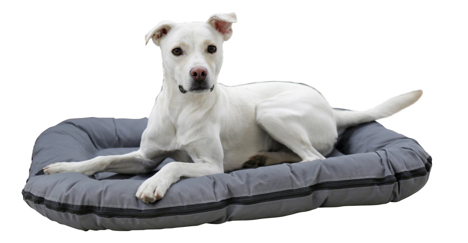 Kerbl Dog Rest Oxford Place cuscino cani sfoderabile