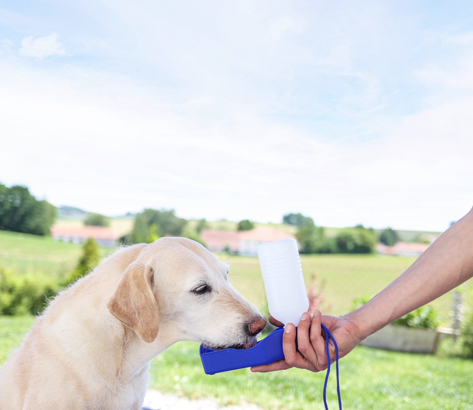 Kerbl Pet Dog Bowls Travel Bottle borraccia plastica