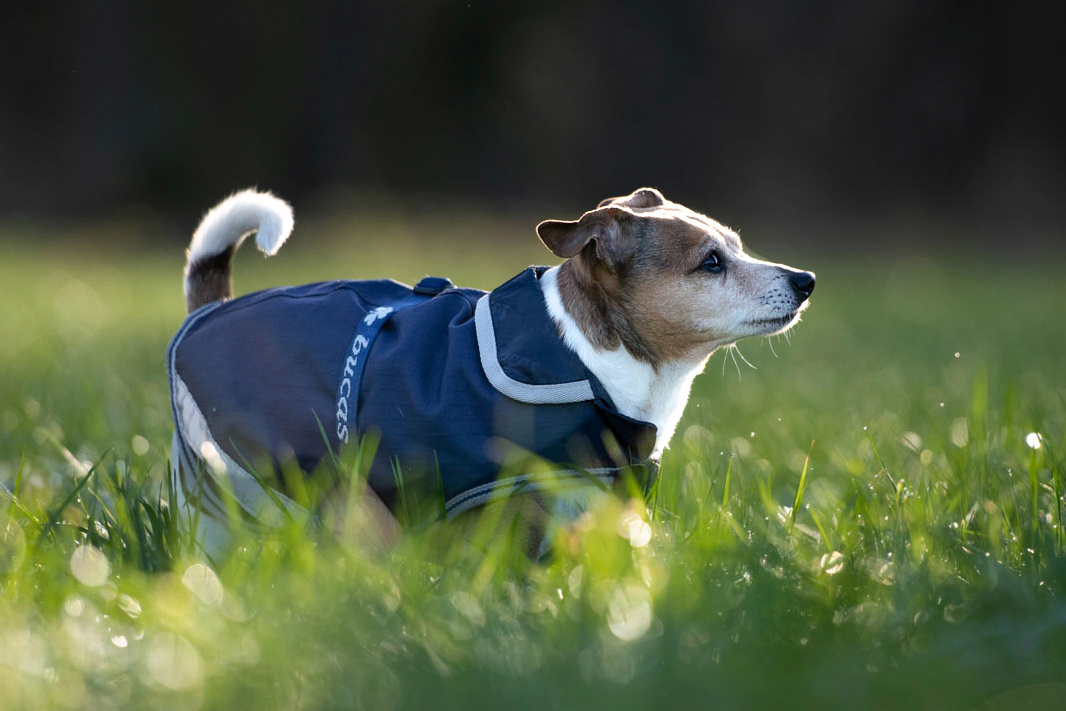 Kerbl Pet Dog Coat Freedom cappotto per cani impermeabile