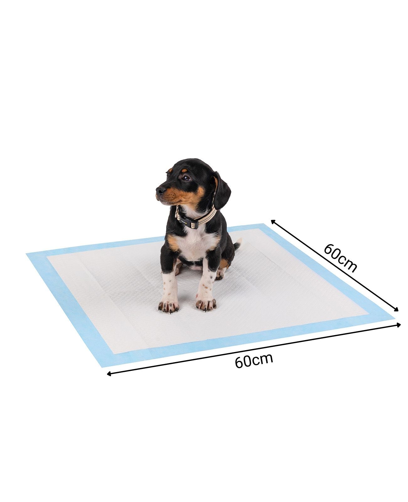 Lionto traverse cane assorbenti 60x60 cm 50 pezzi 6 strati