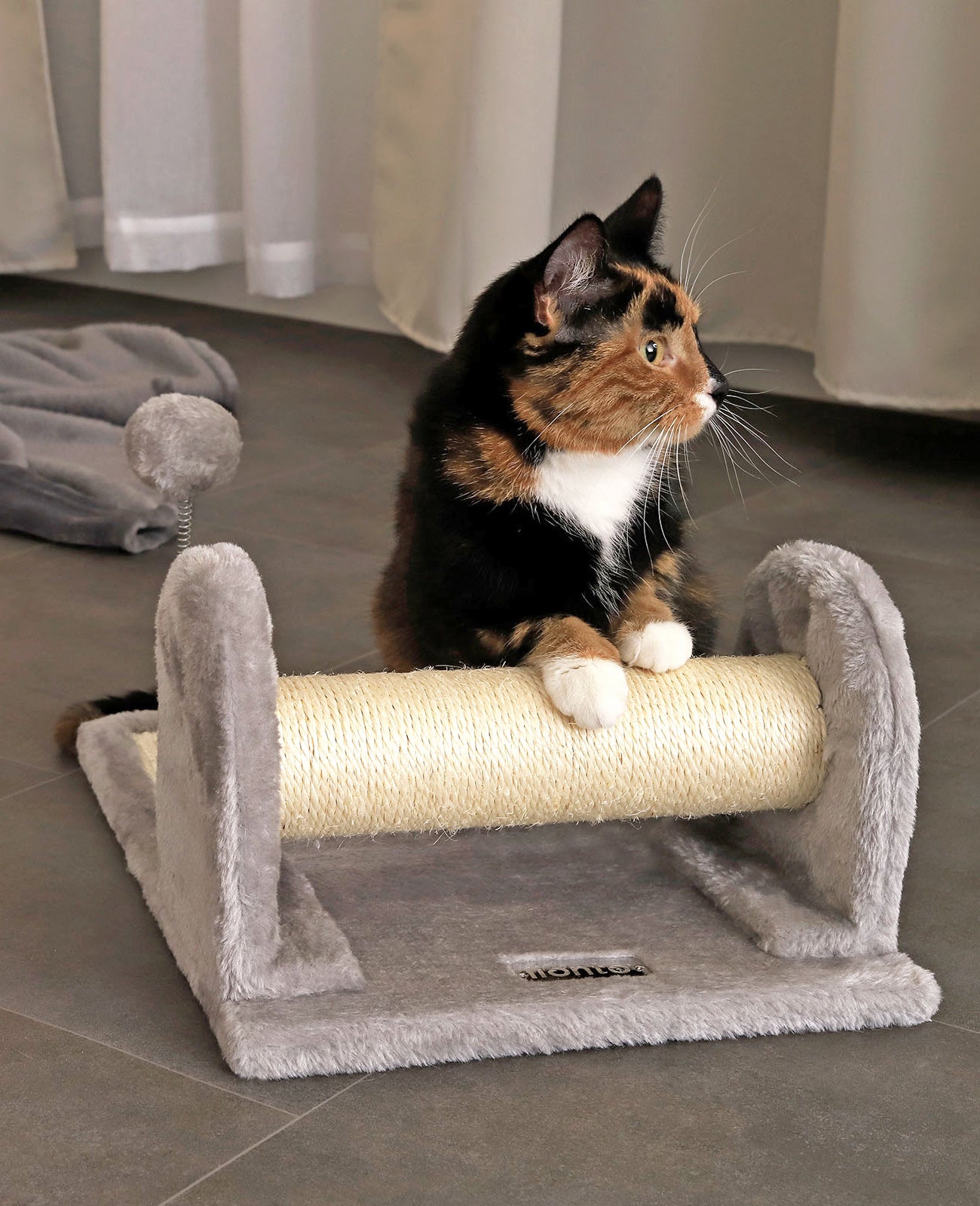 Lionto Katzenkratzbäume tiragraffi sisal 40x30 cm grigio con palla