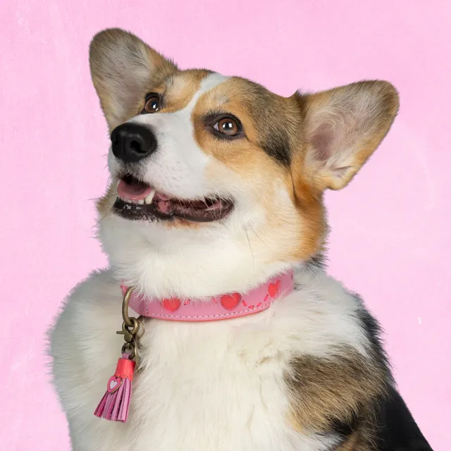 Dog with a Mission Sweety Collare L Pelle Rosa Cuori 40-47 cm