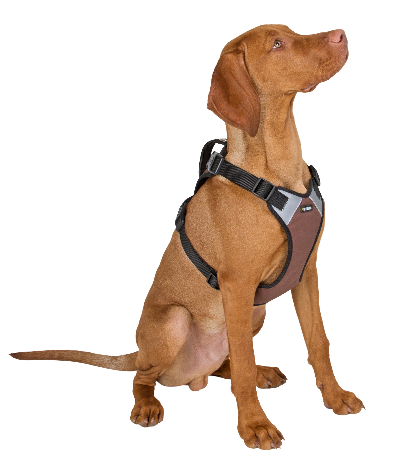 Kerbl Pet Pulsive Pettorina Regolabile Mesh per Cani
