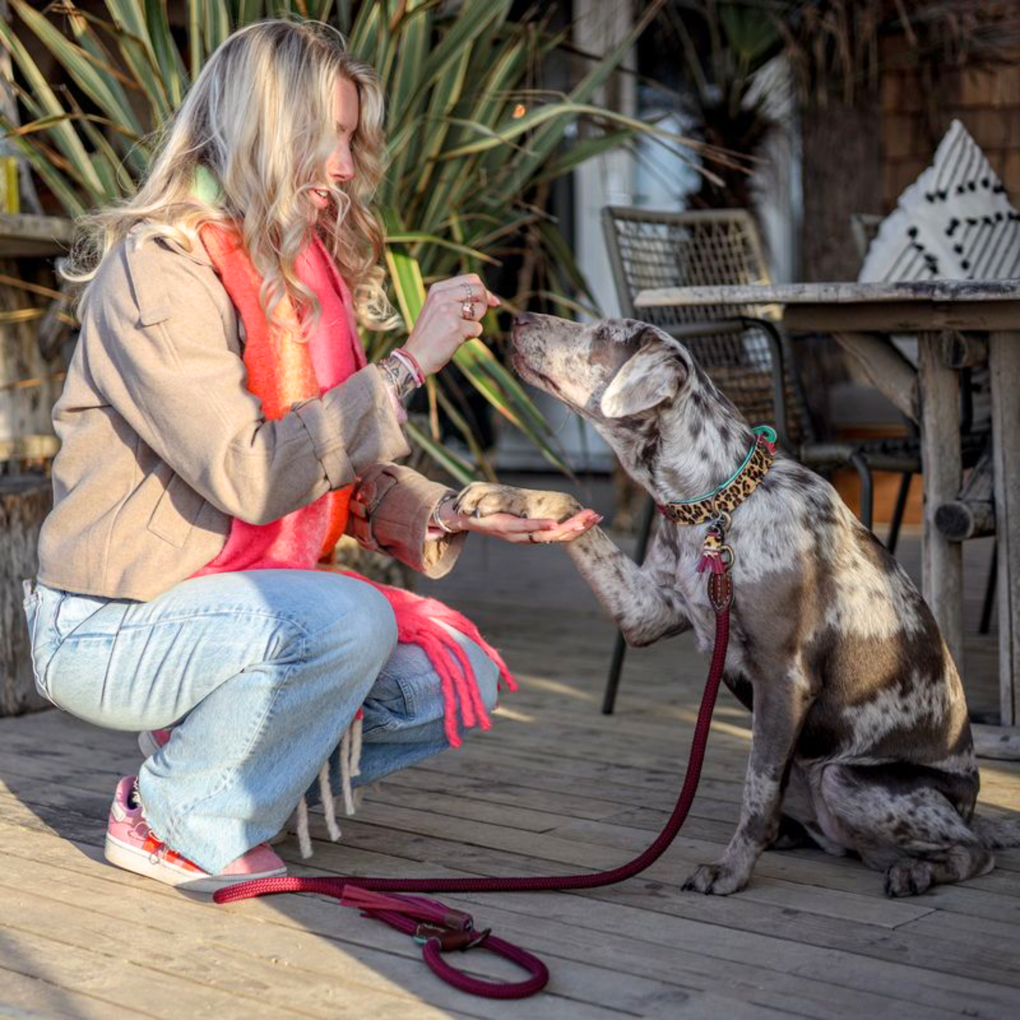 Dog with a Mission Lou Lou collare cane pelle bordeaux M 34-39 cm