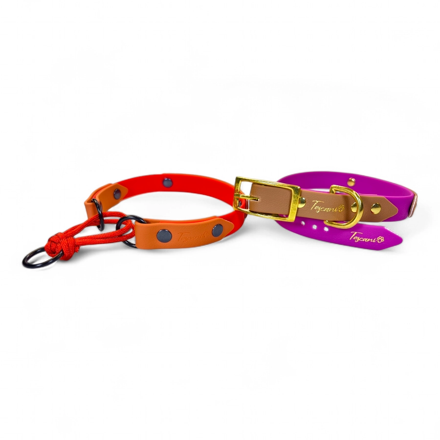 Toscani Waterproof Collare Bicolore per Cani Personalizzato
