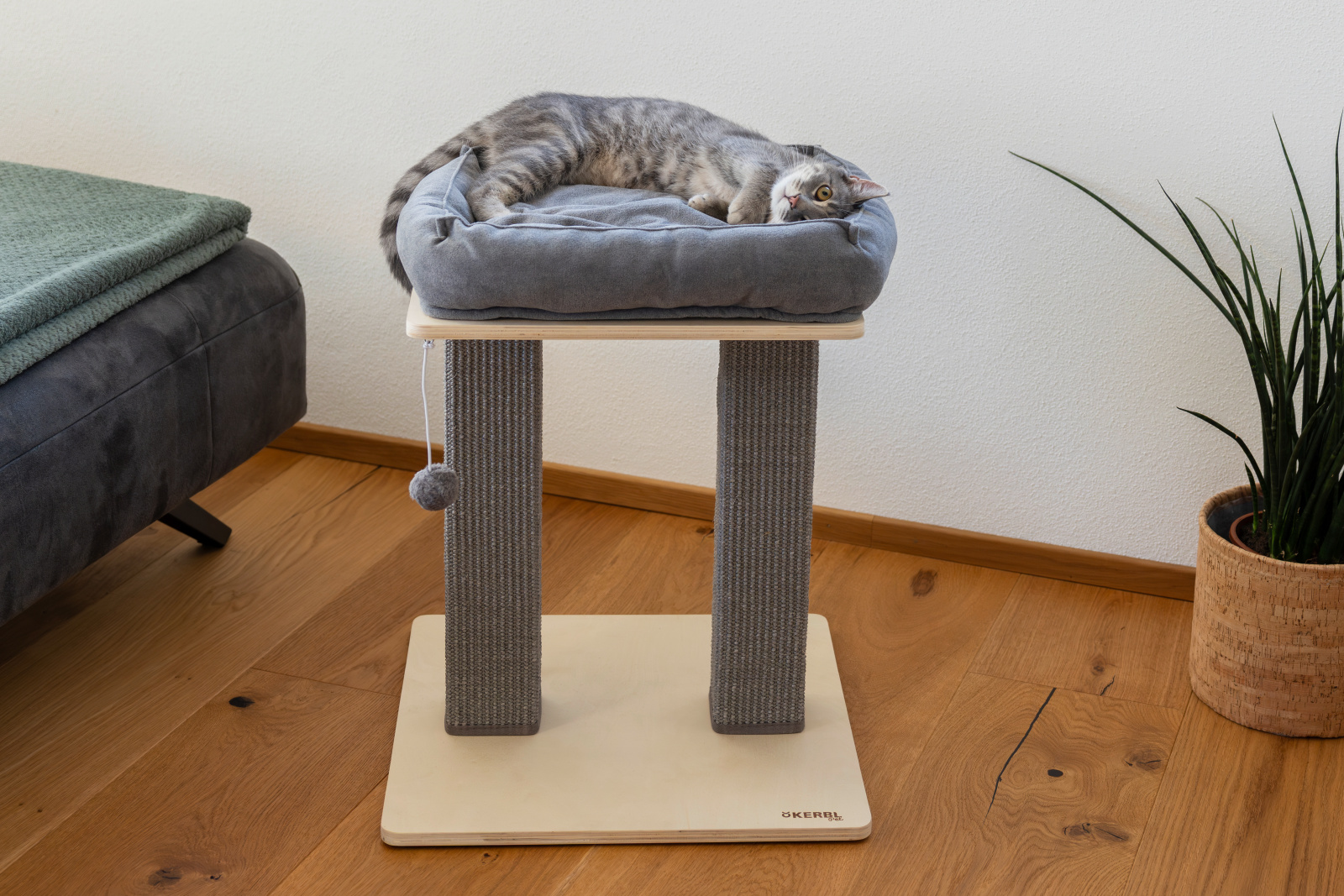 Kerbl Pet Cat Scratch Noah I tiragraffi con cuccia