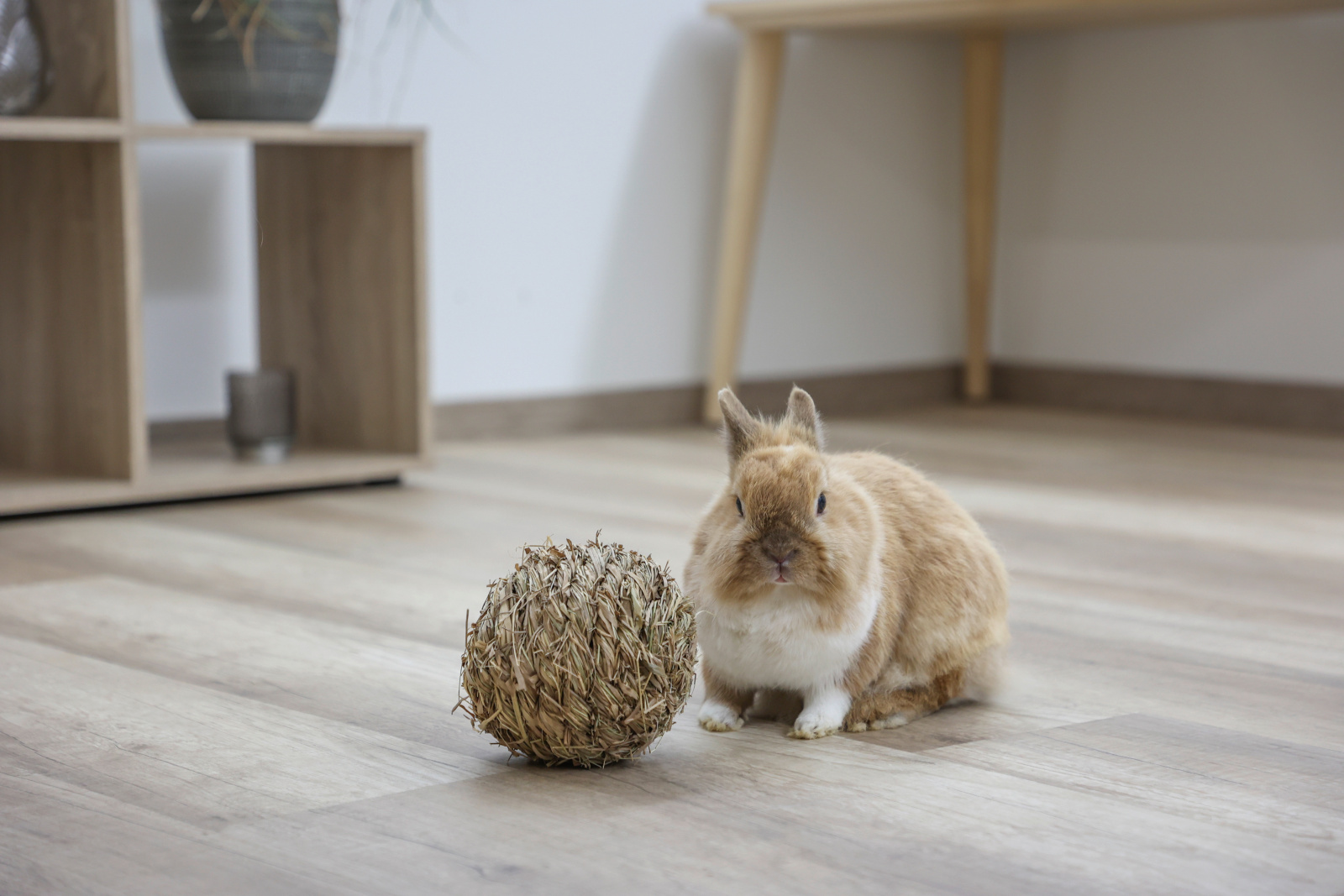 Kerbl Pet Rodent Snacks Grass Ball palla erba rosicchiabile