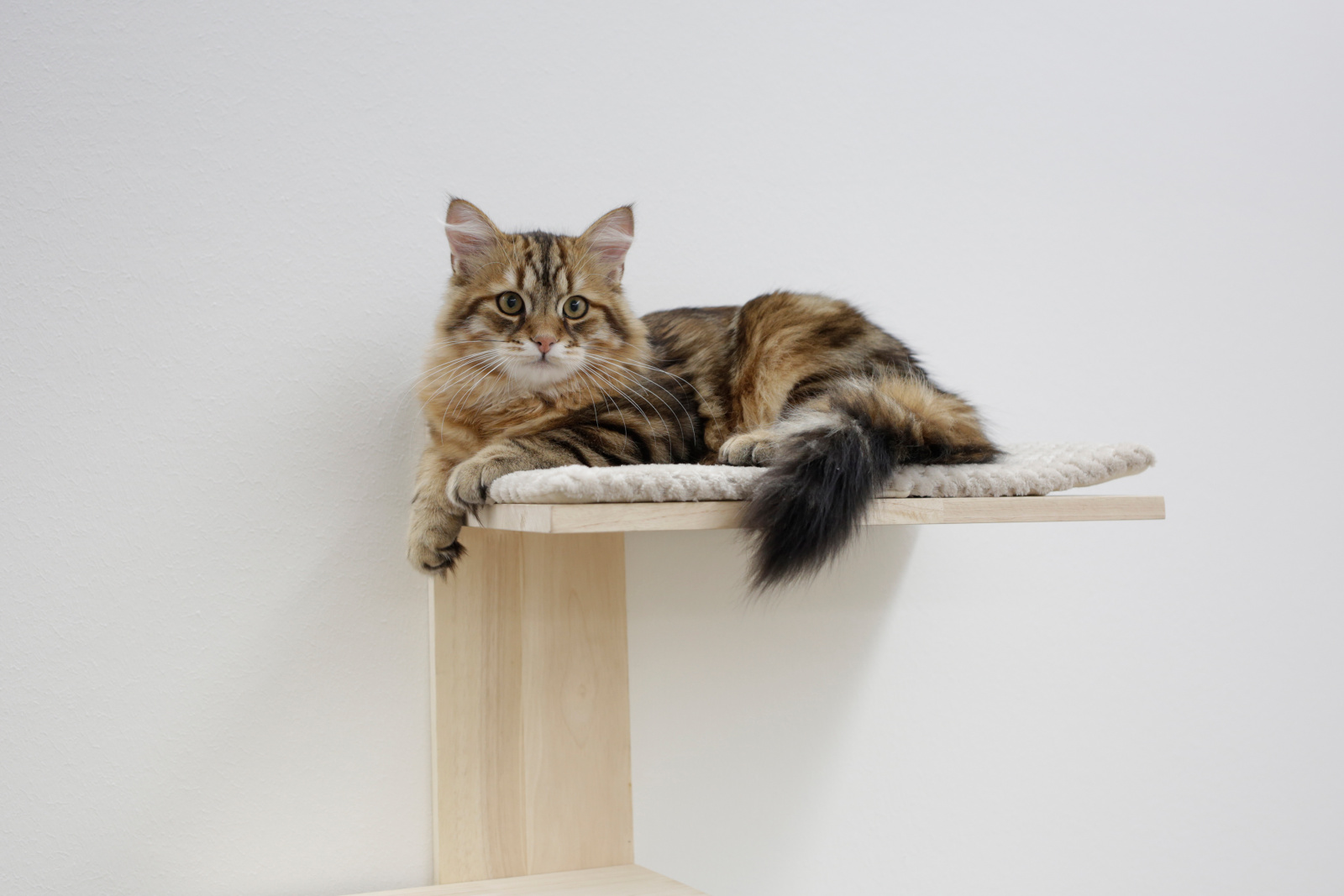 Kerbl Pet Timber Albero per Gatti da Parete 150 cm Legno
