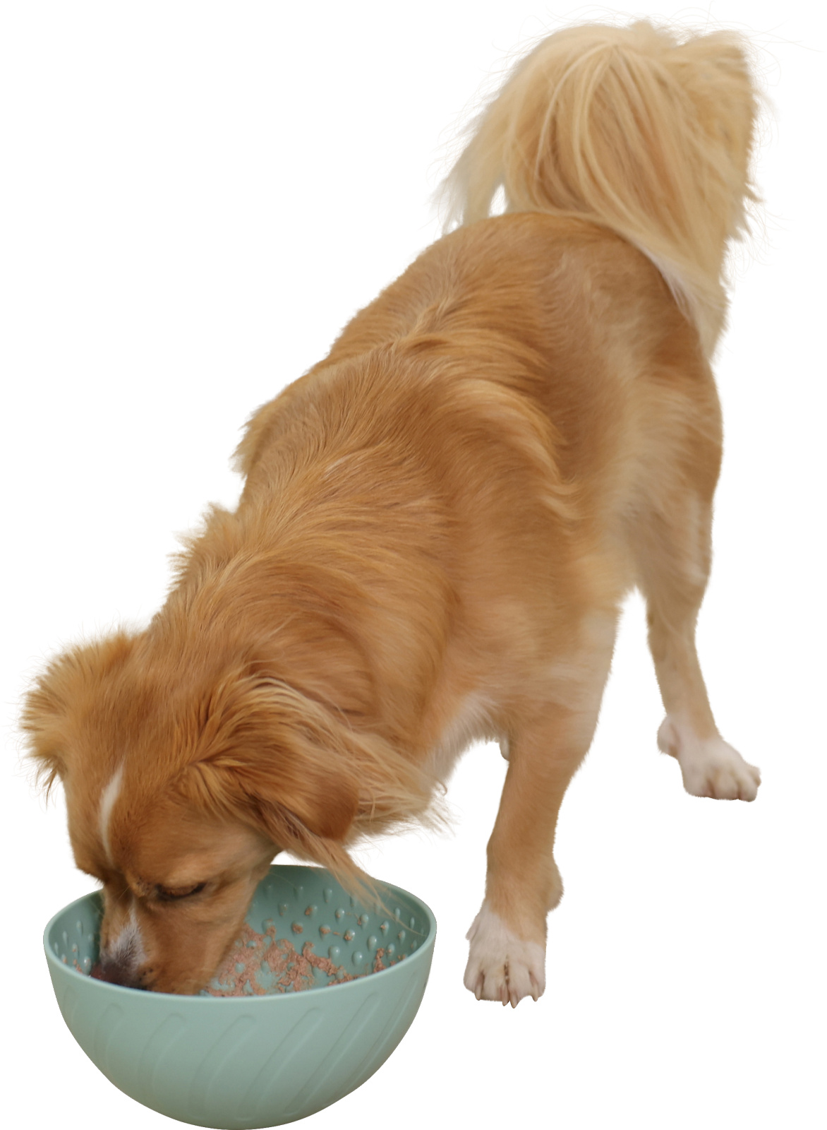 Kerbl Pet Lick Bowl ciotola leccare cane gatto freezer