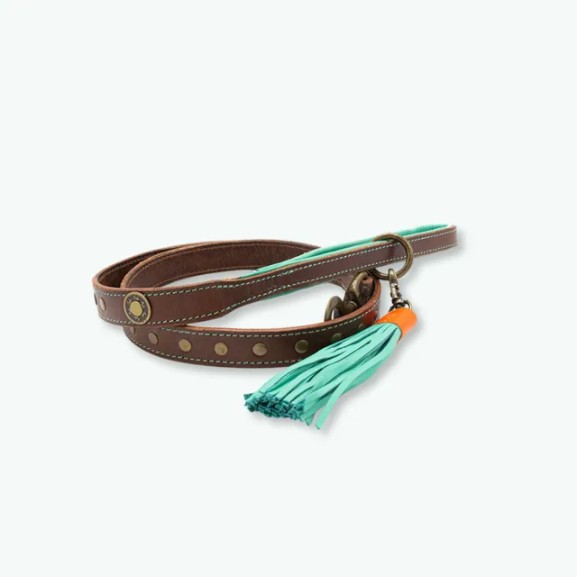 Dog with a Mission Joe guinzaglio cane L marrone 135 cm borchie