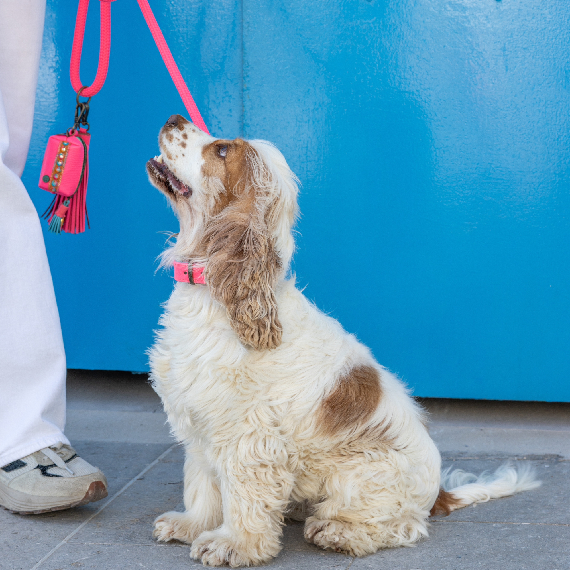 Dog with a Mission Indian Summer porta sacchetti cane rosa
