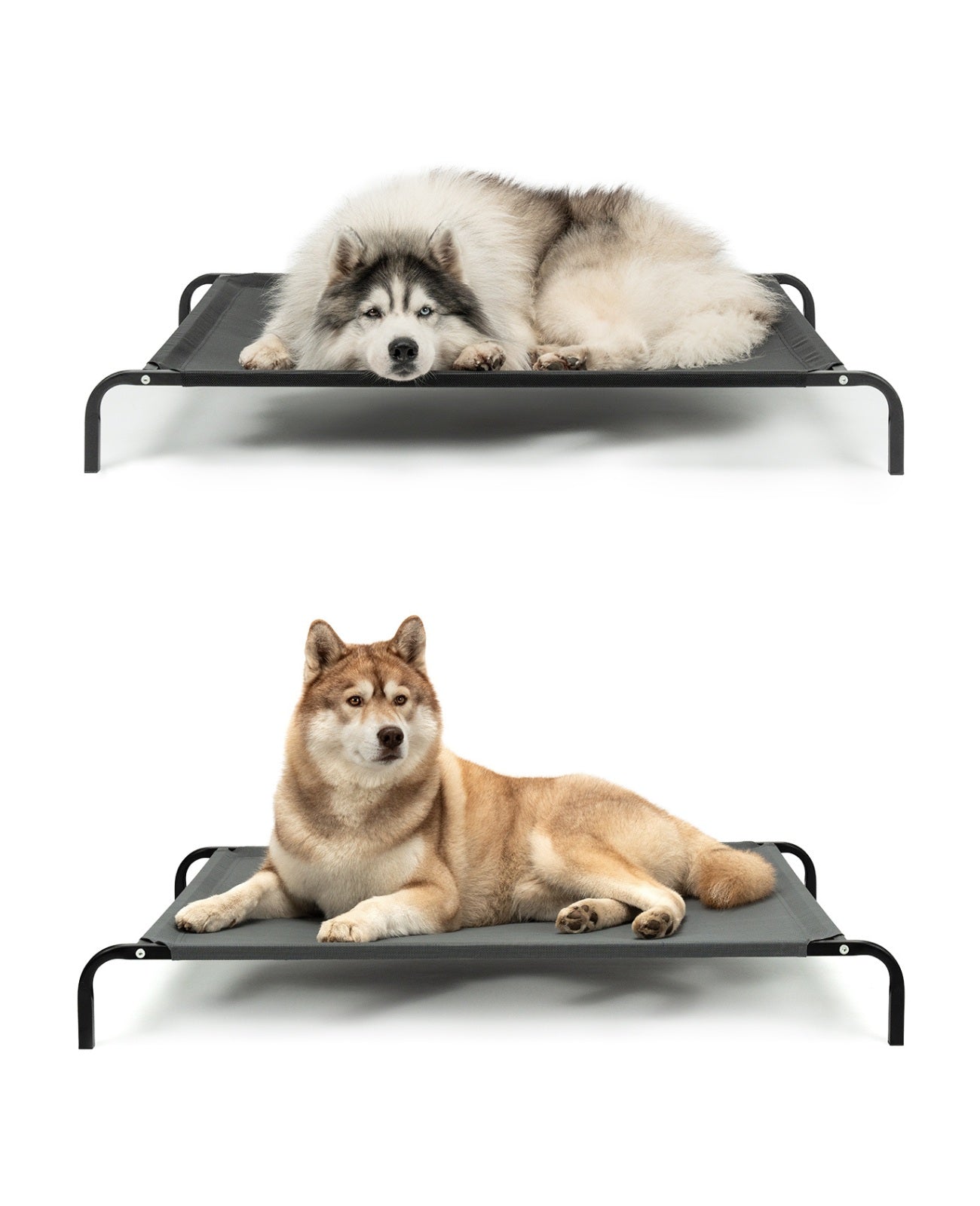 Lionto Hundebetten brandina rialzata cani nera 114x76 cm estiva