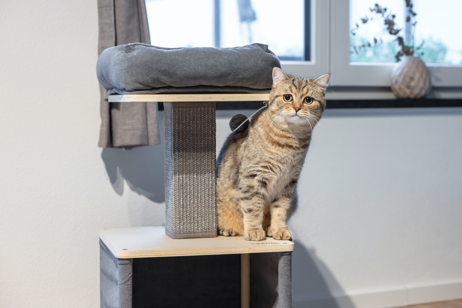 Kerbl Cat Scratch Noah II Tiragraffi Gatto Cuccia e Grotta
