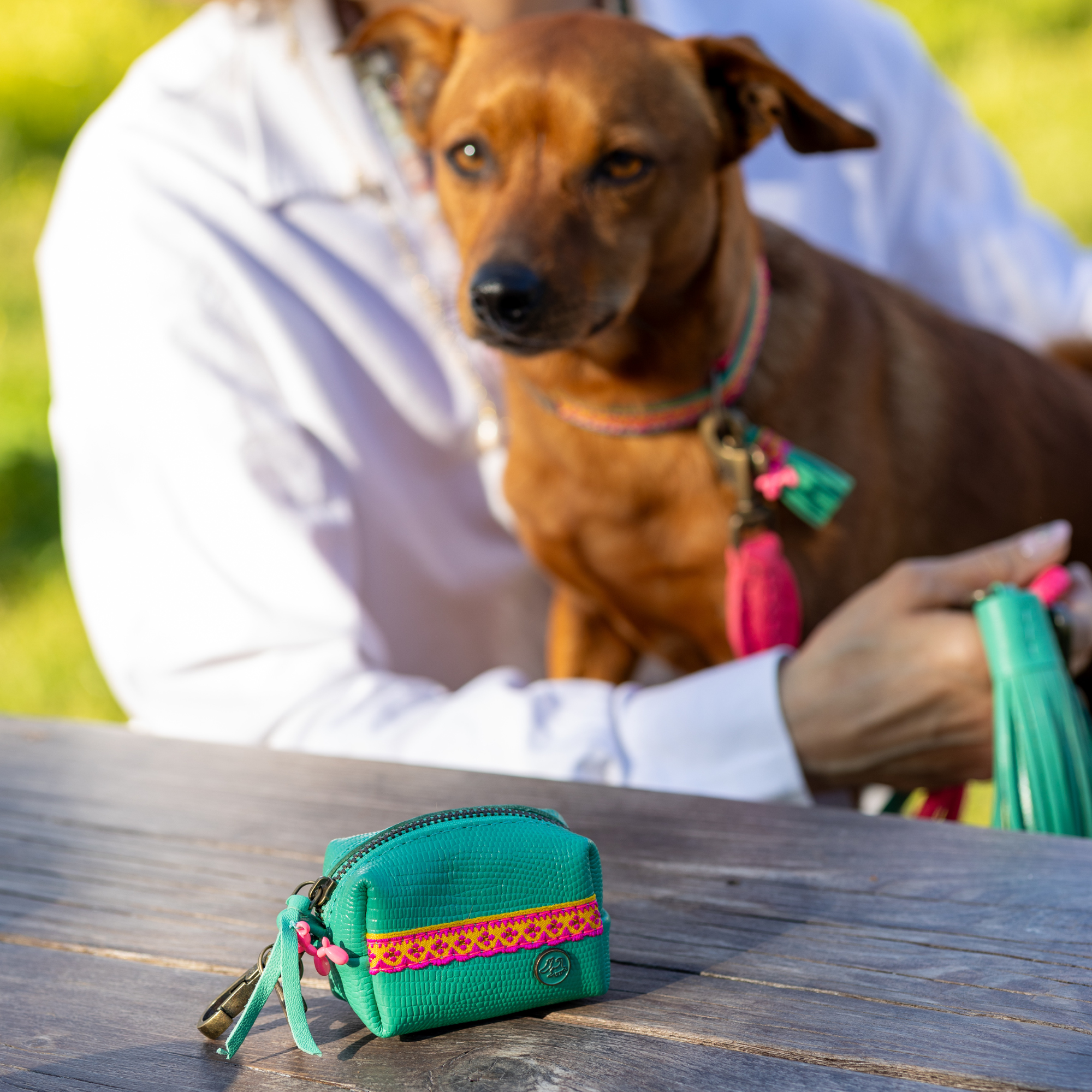 Dog with a Mission Maui porta sacchetti turchese pelle