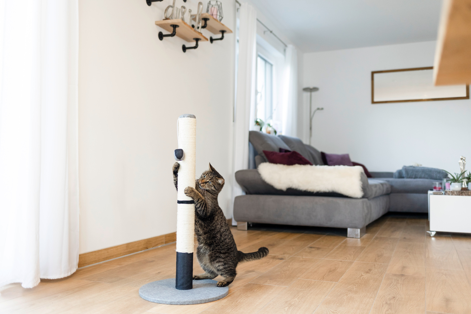 Kerbl Pet Opal Pro tiragraffi gatto sisal 80 cm con pallina