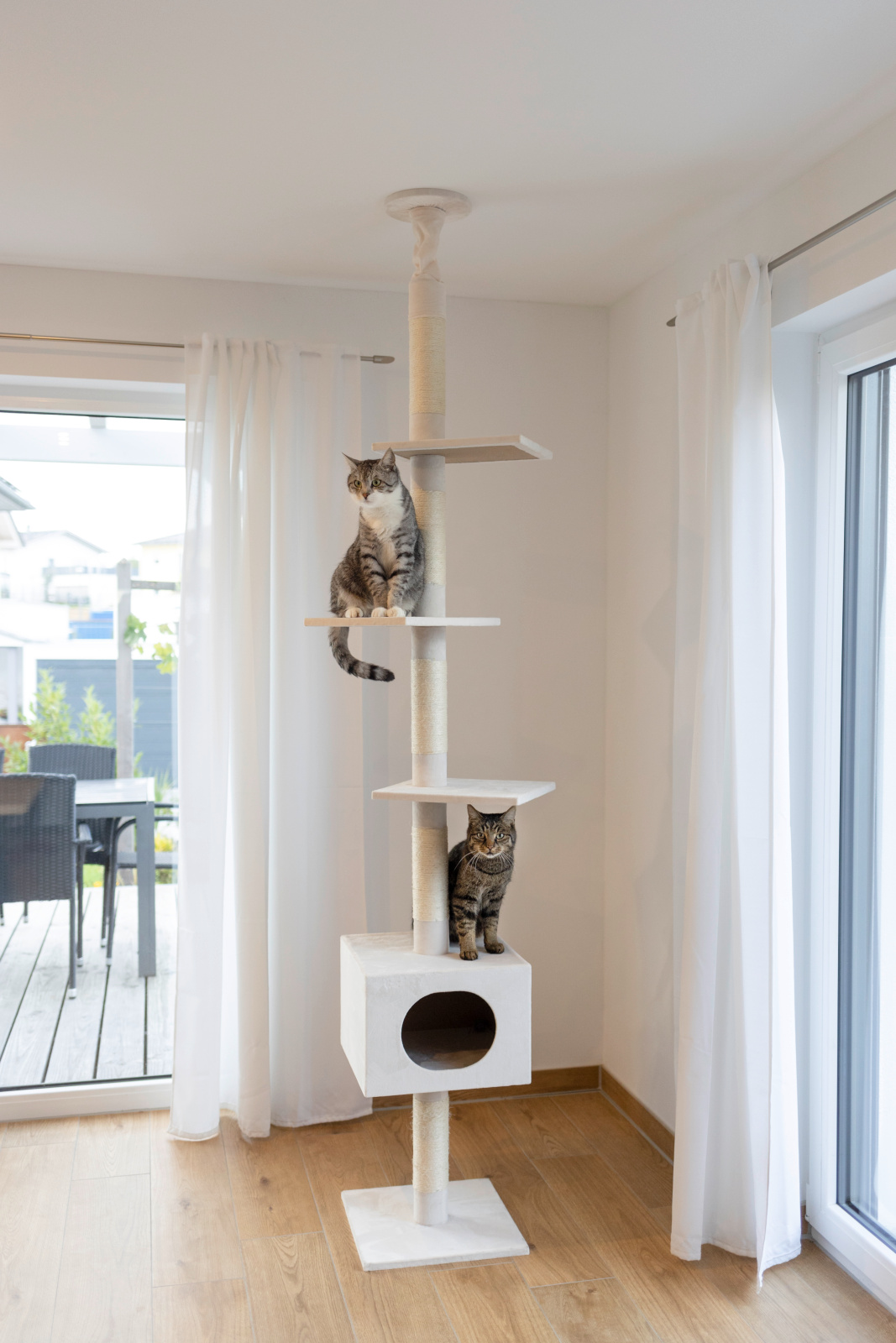 Kerbl Pet Ferdi albero tiragraffi a soffitto per gatti