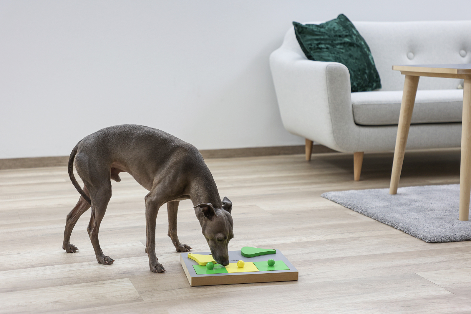 Kerbl Pet Dog Toy Torta Thinking and Learning Toy gioco cane legno facile