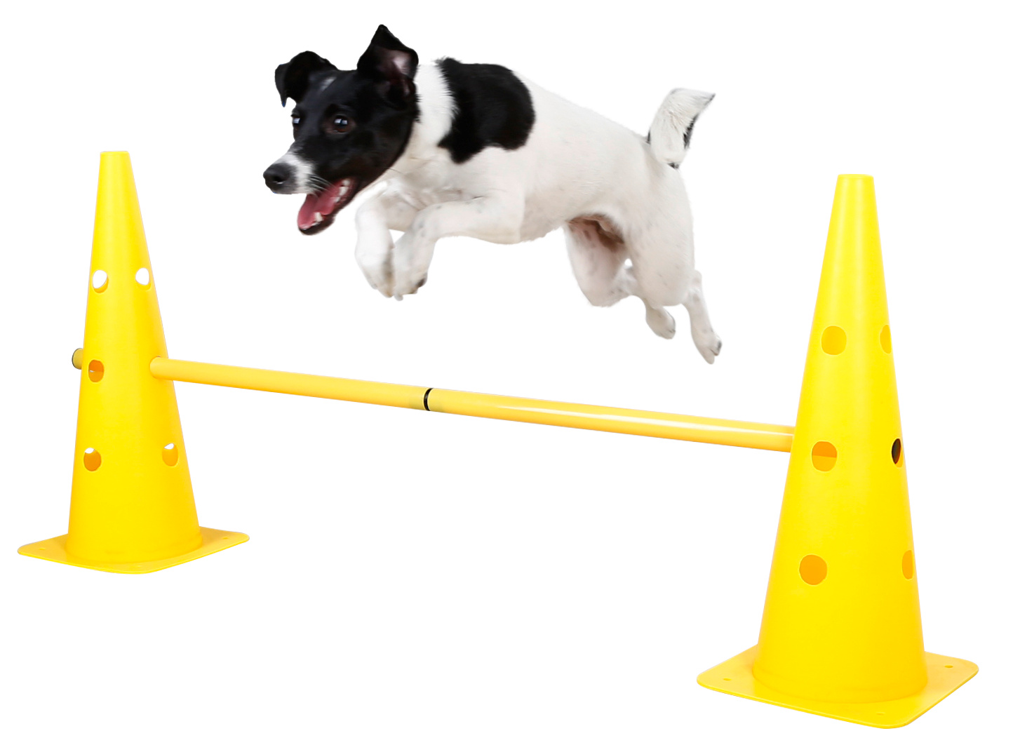 Kerbl Dog Training Agility set ostacoli 6 paletti slalom
