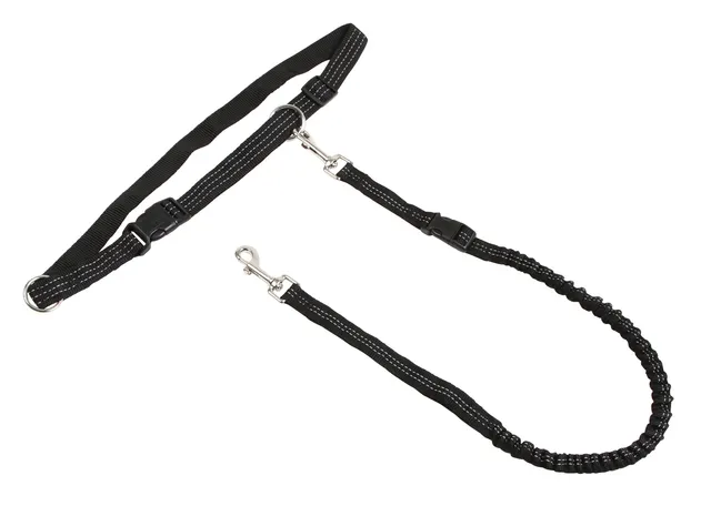 Kerbl Pet Jogging guinzaglio corsa cane con cintura