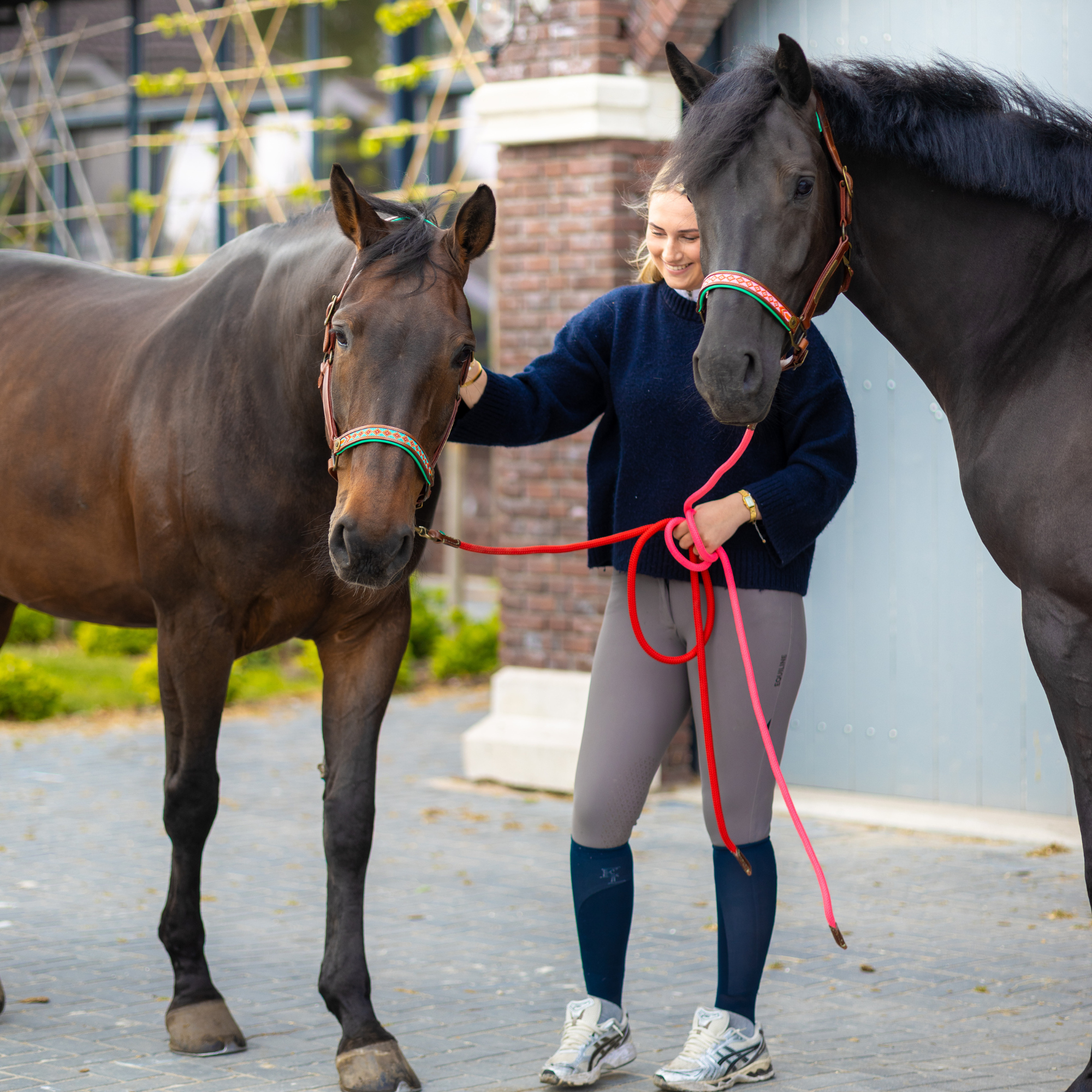 Dog with a Mission Paddy Lee Cavezza cavallo Cob pelle marrone