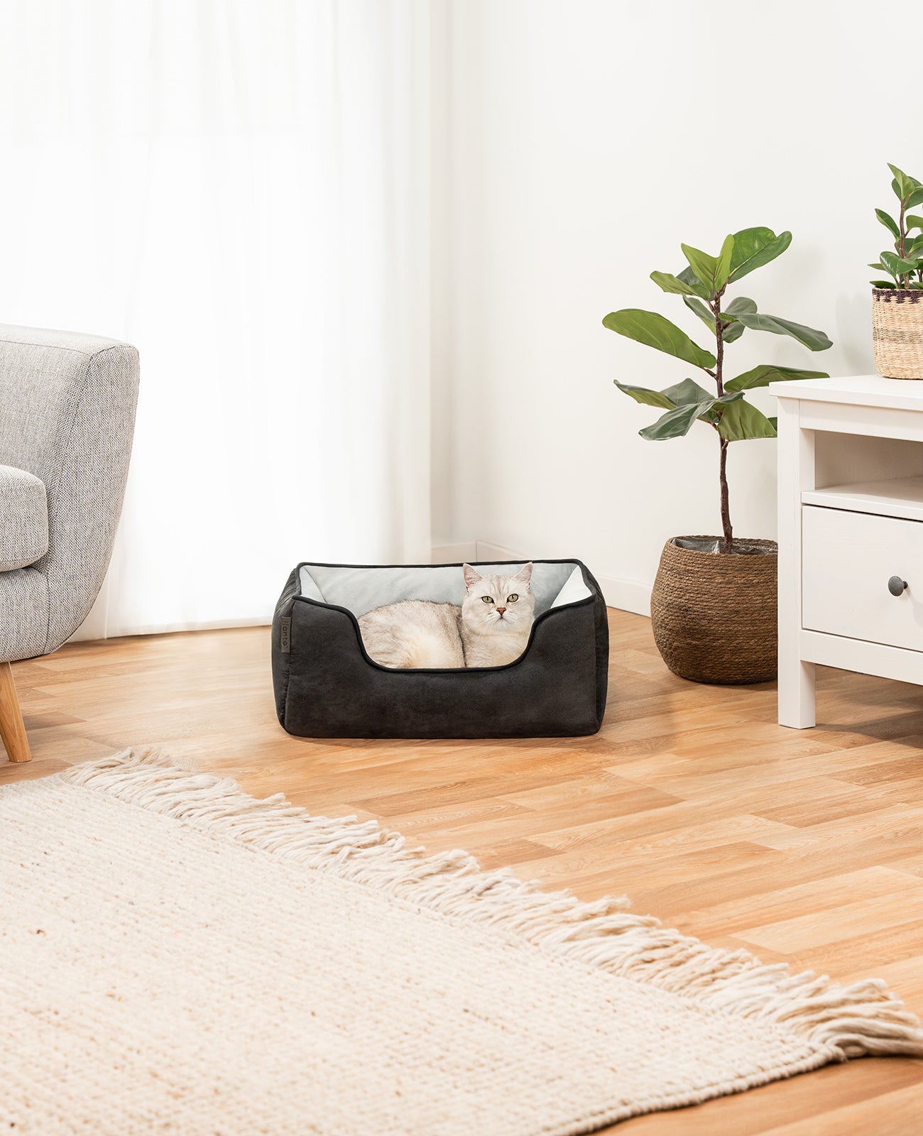 Lionto Katzenbettchen cuccia gatto 80x60 cm marrone reversibile