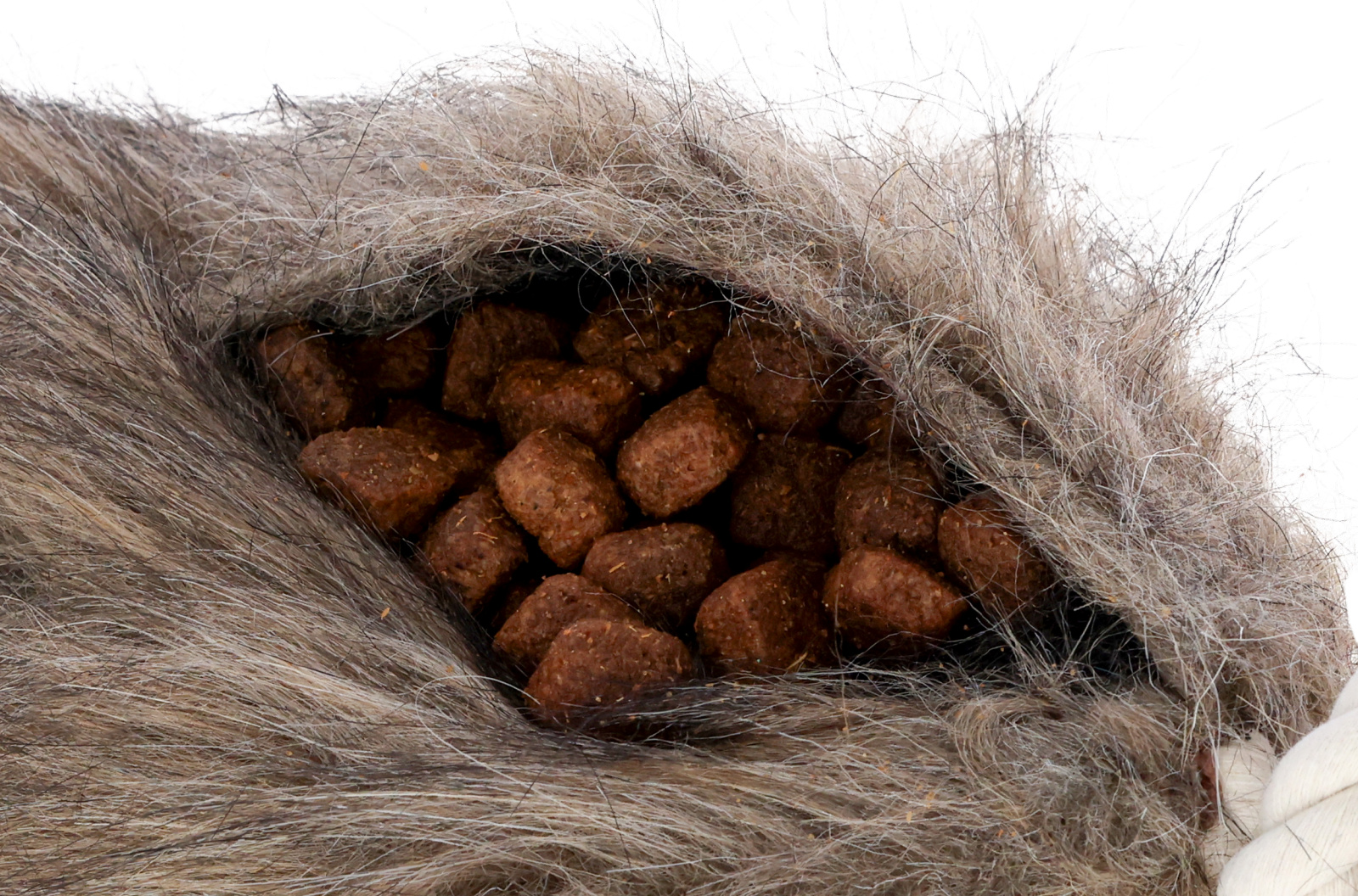 Kerbl Pet Snack Dummy riporto cane pelliccia con corda