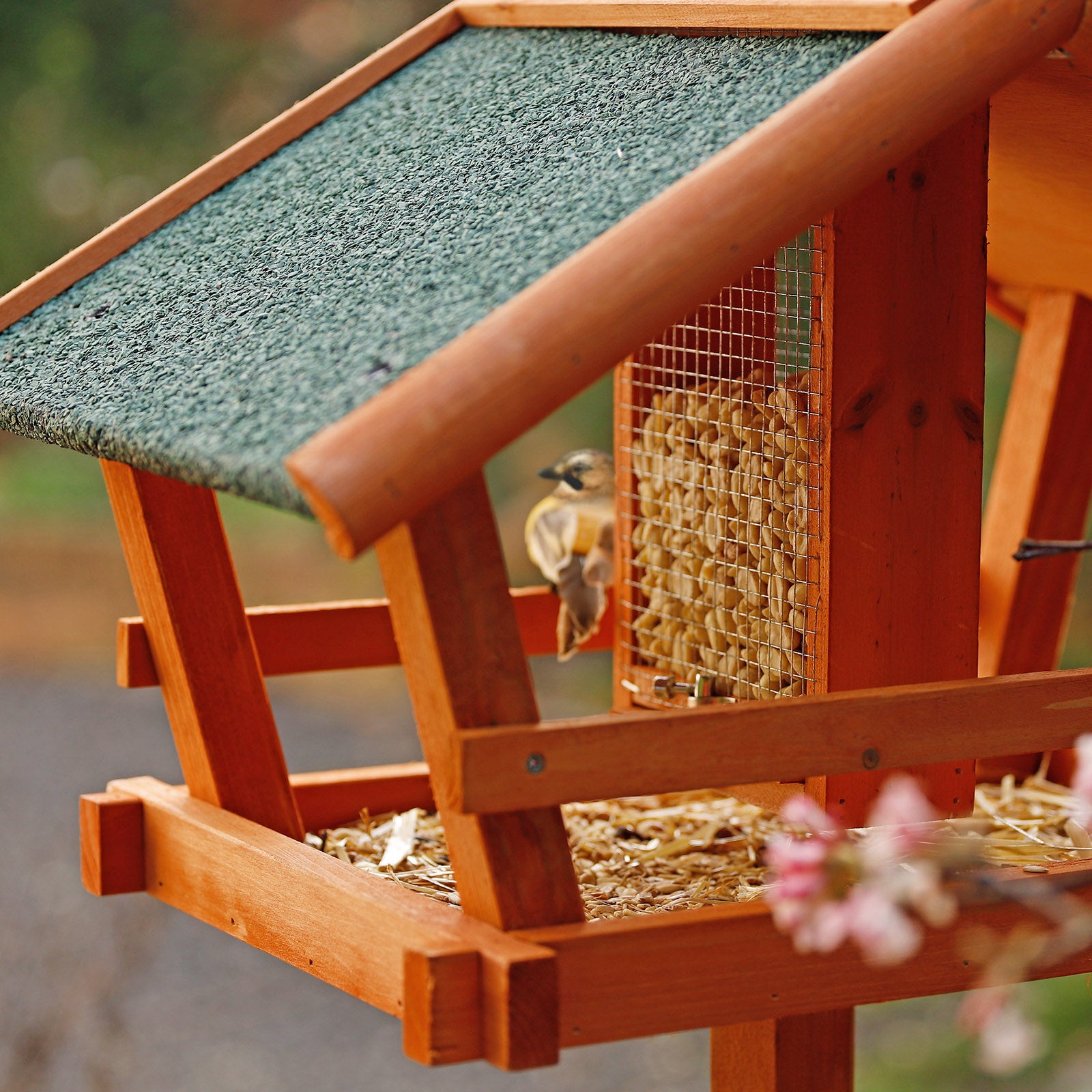 Lionto Vögel Vogelhaus Mangiatoia Uccelli Legno 120 cm