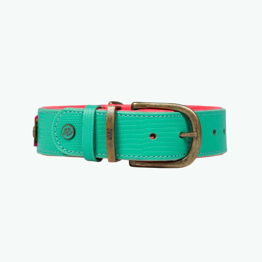 Dog with a Mission Maui Collare XXL 58-65 cm Turchese