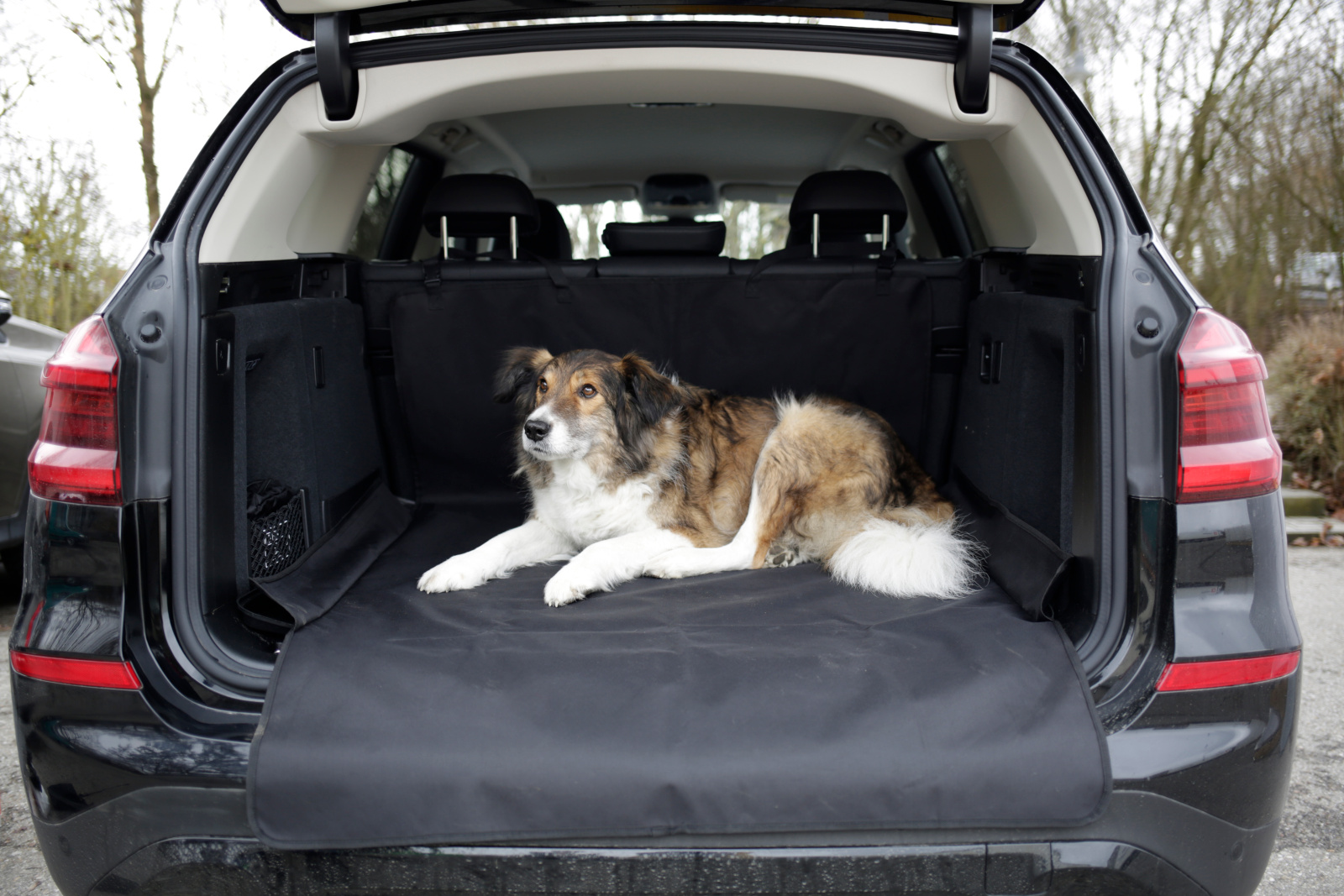Kerbl Pet Economy tappeto bagagliaio auto cani poliestere