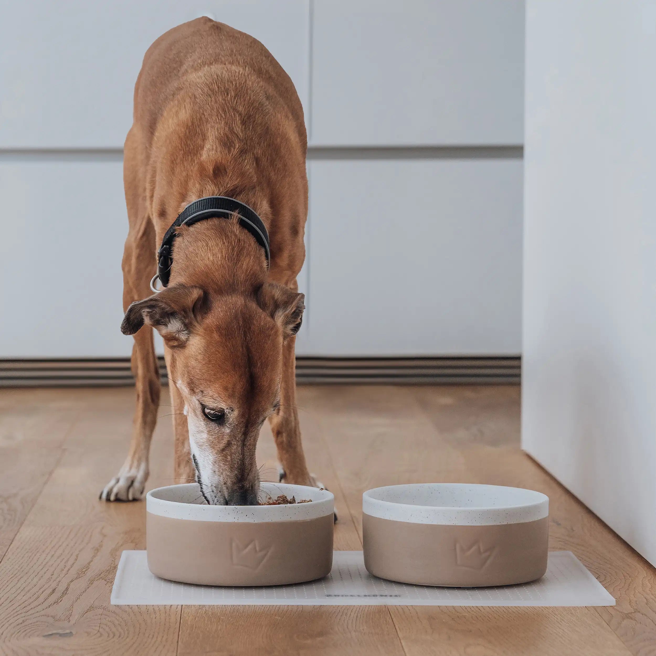 Rudelkönig set pappa cane ceramica grigio 2 ciotole+tappetino