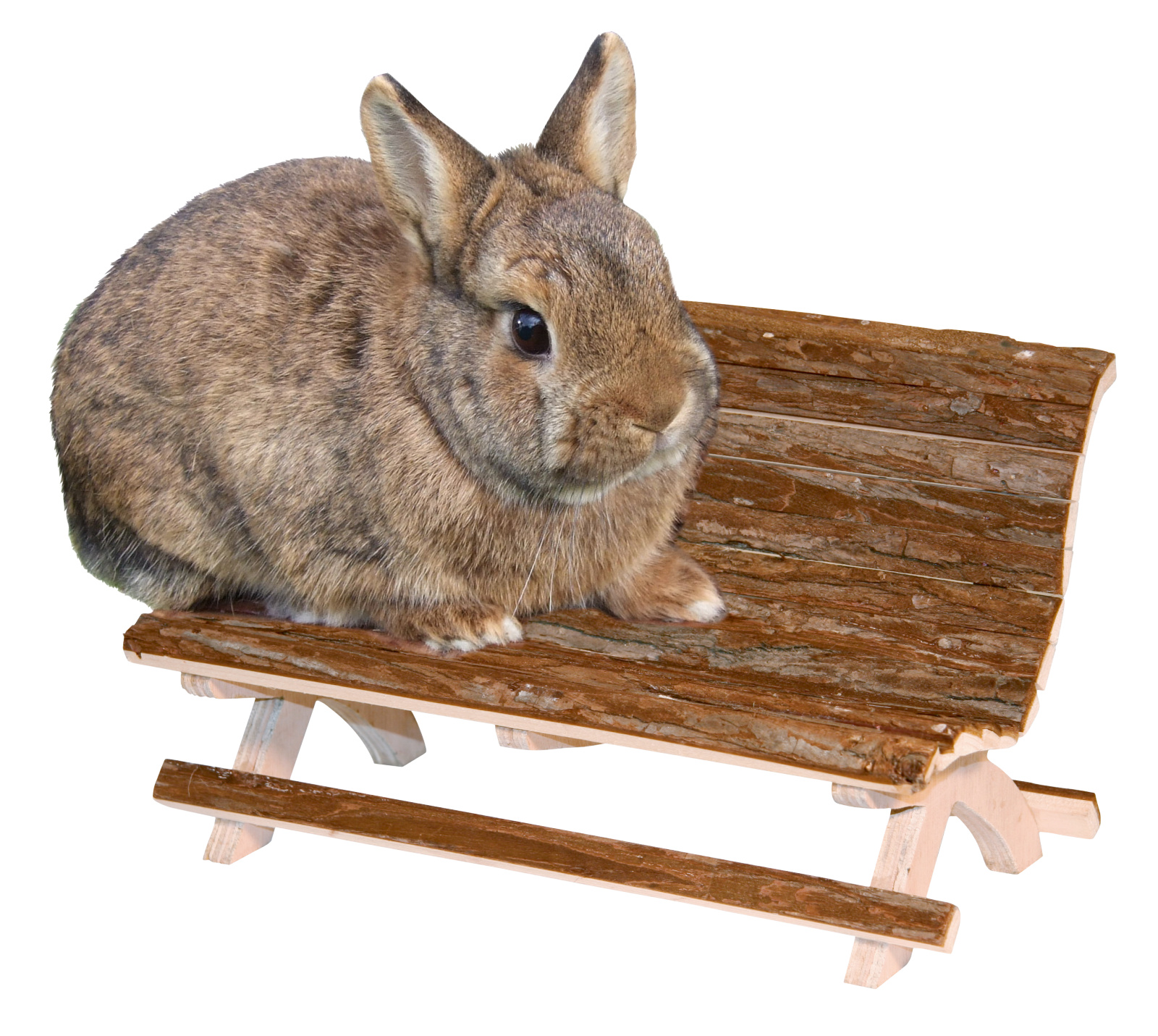 Kerbl Pet Wooden Bench Nature panca legno roditori
