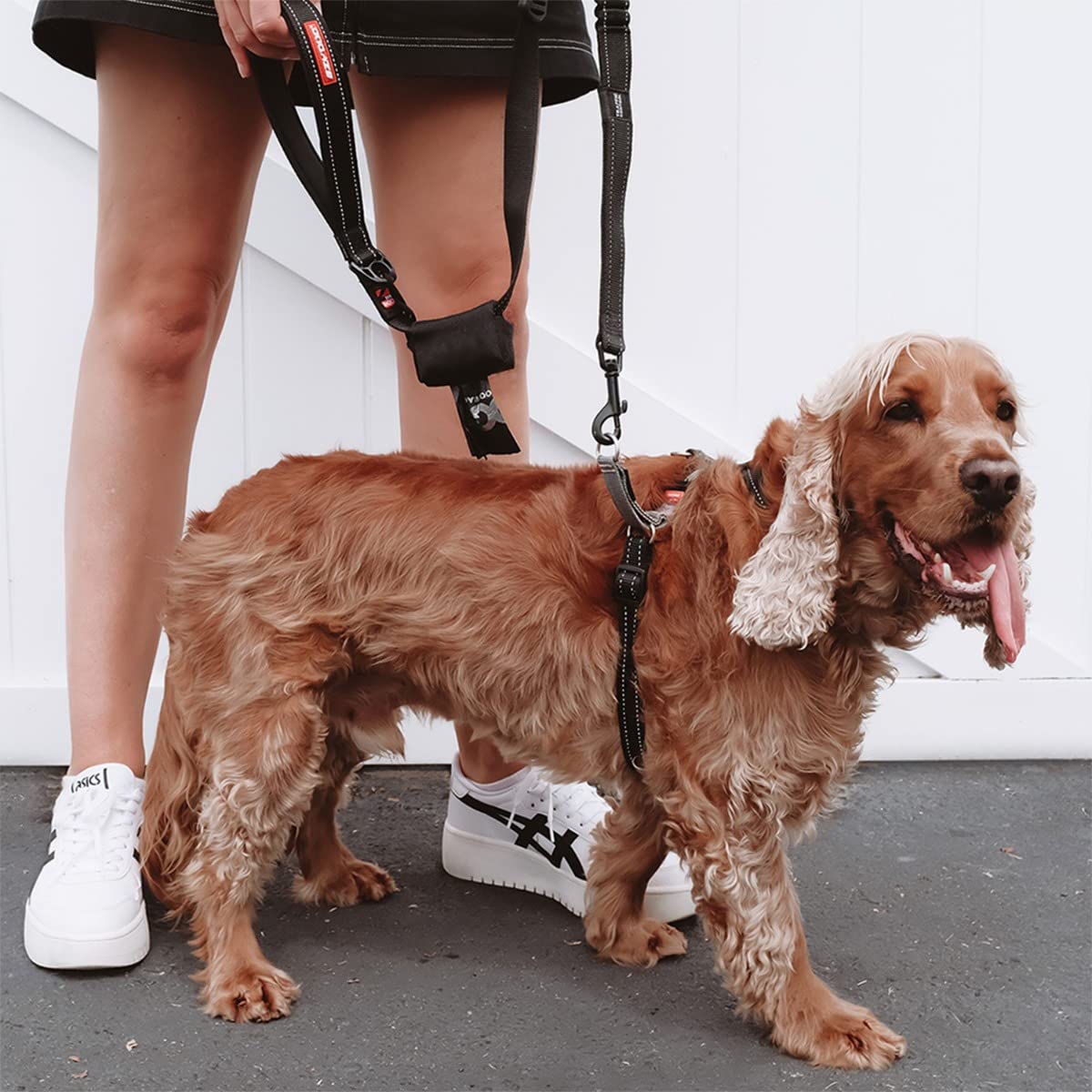 EzyDog Crosscheck Pettorina Anti-Traino Cane S Blu 38-52cm