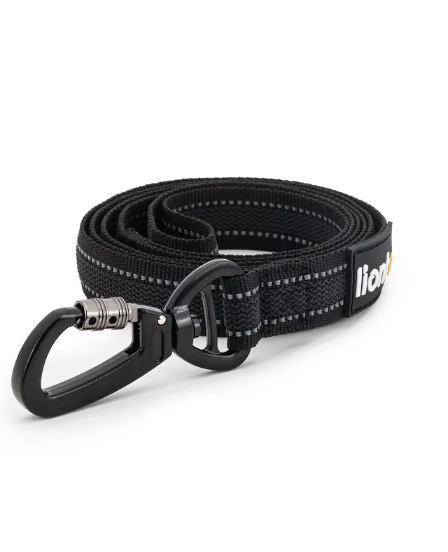 Lionto Hunde-Spaziergang guinzaglio gommato riflettente 1,70 m