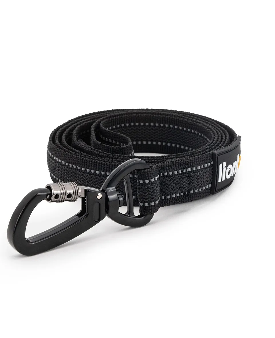 Lionto Hunde-Spaziergang guinzaglio gommato riflettente 1,70 m