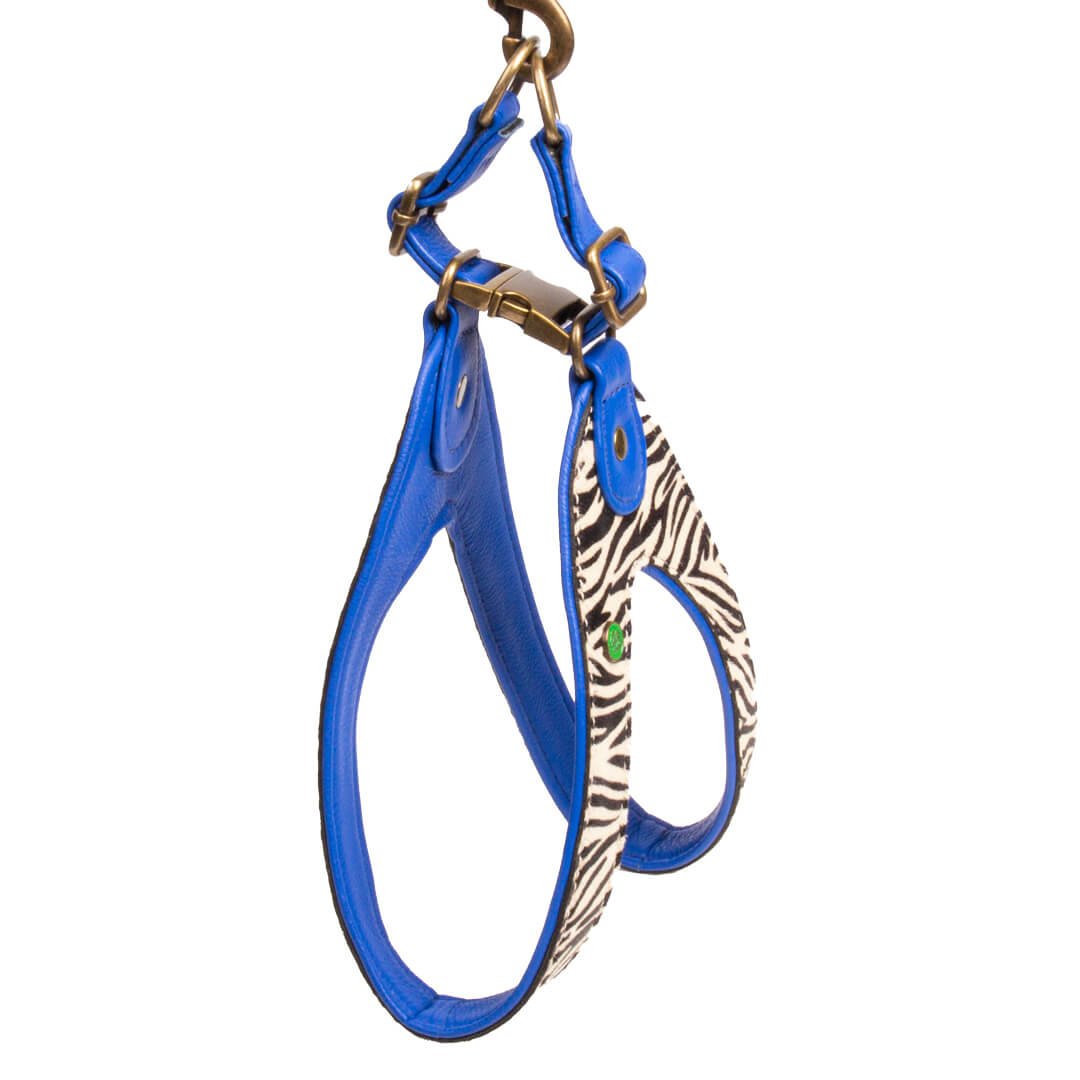 Dog with a Mission Dandy pettorina cane 9 zebra pelle