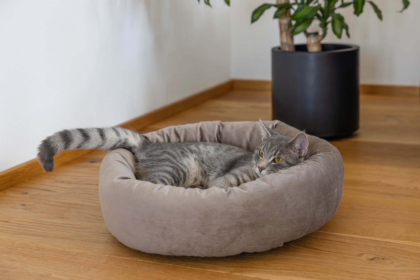 Kerbl Pet Snugly Bed Velvet cuccia cane e gatto tonda