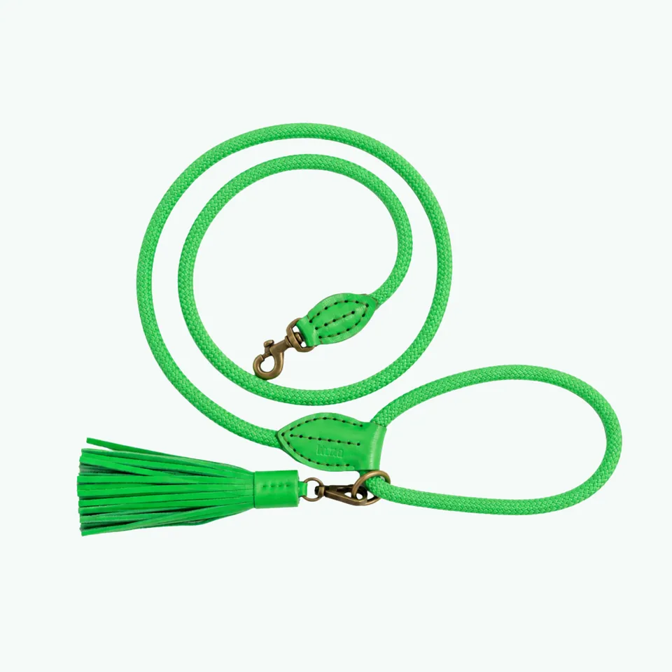 Dog with a Mission Apple Pie guinzaglio cane verde L 155 cm