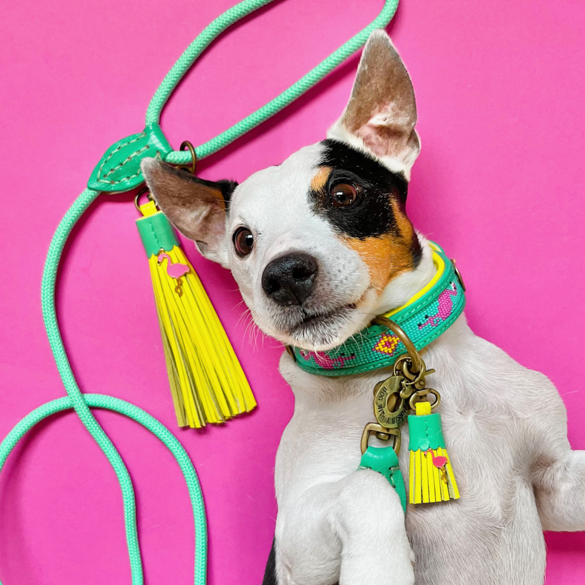 Dog with a Mission Classic Lagoon guinzaglio cane turchese 155 cm S