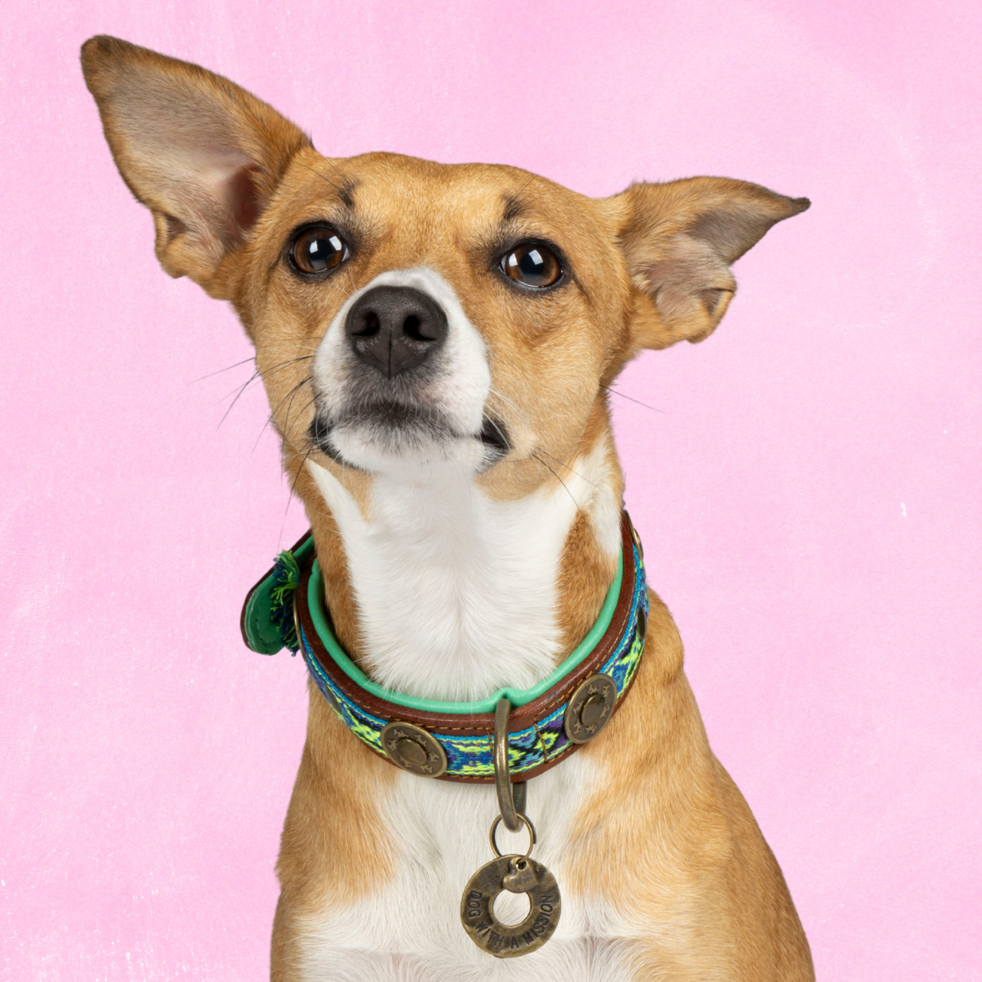 Dog with a Mission Boho Juan Collare Cane Blu S 30-33 cm