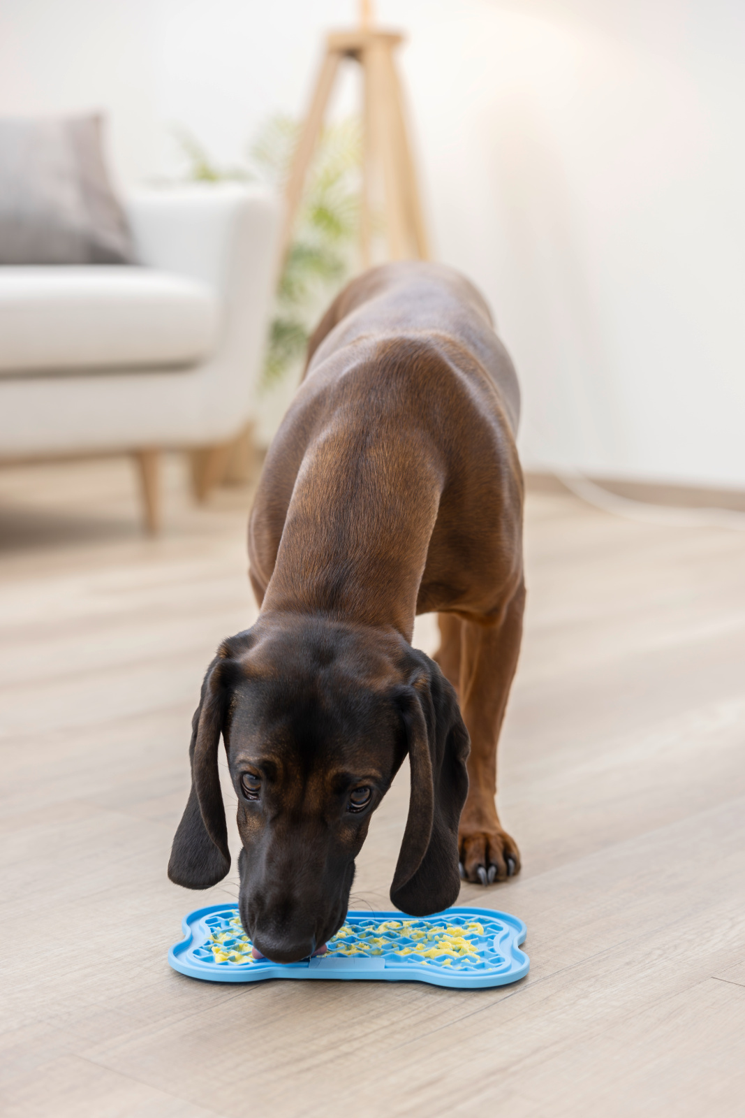 Kerbl Pet Lick Mat Tappetino Leccata Silicone per Cani e Gatti